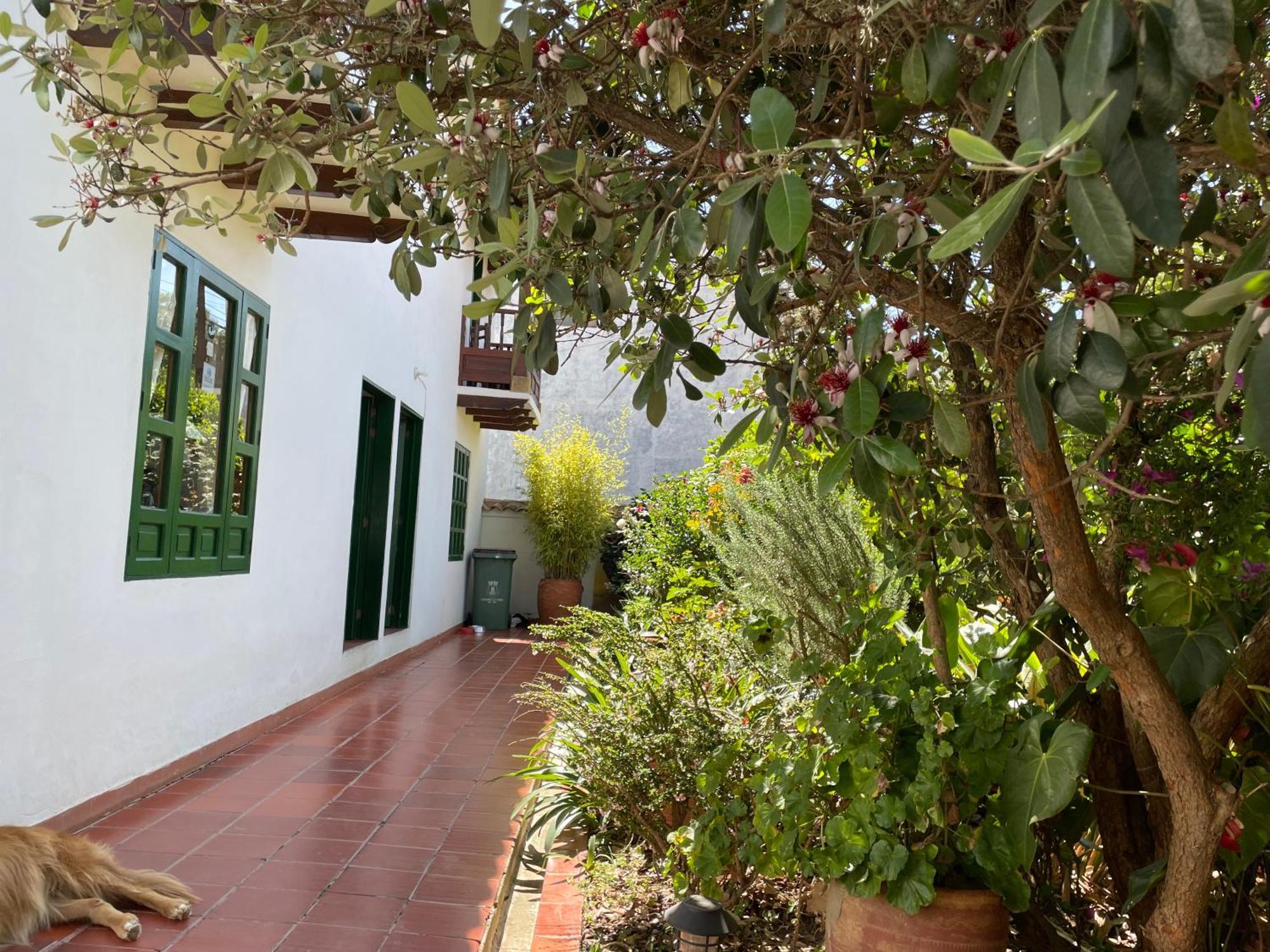 Hostal El Pino Villa de Leyva Extérieur photo